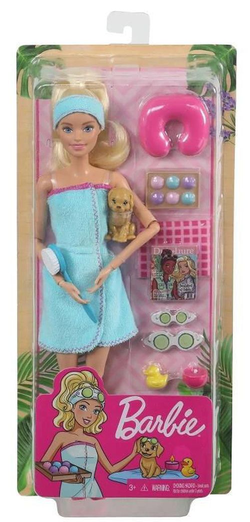 купить Кукла Barbie GKH73 Odihna Activa в Кишинёве 