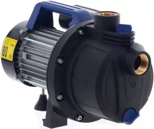 купить Насос Annovi Reverberi 51986 AGRP600p в Кишинёве 