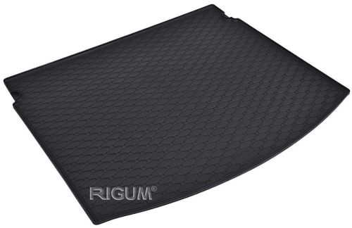 купить Коврик для автомобиля Rigum Renault Megane Grandtour 16-/(RKK) в Кишинёве 