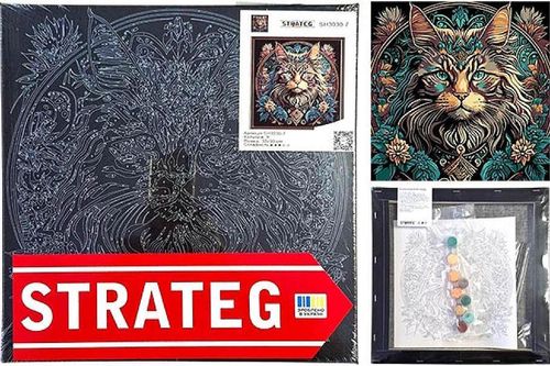 cumpără Tablou pe numere Strateg 57201 Magia Pisicii 30x30cm (fundal negru) în Chișinău 