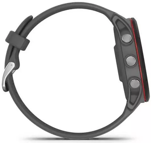 купить Смарт часы Garmin Forerunner 255 Slate Grey (010-02641-10) в Кишинёве 