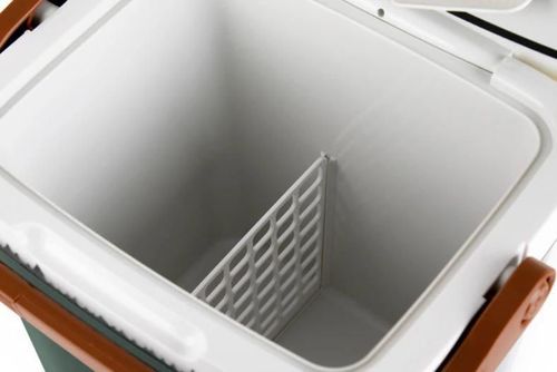 купить Холодильник портативный Peme Ice-on 27 Pine Forest в Кишинёве 