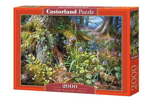 купить Головоломка Castorland Puzzle C-200764 Puzzle 2000 elemente в Кишинёве 