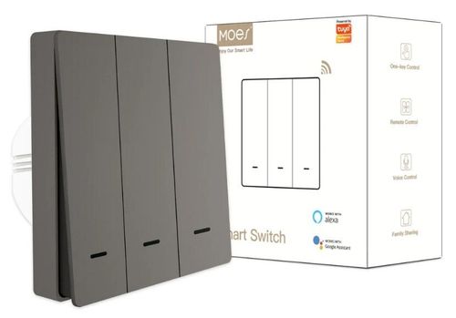 купить Выключатель электрический Moes ZS-SR-EU3-GY-MS в Кишинёве 