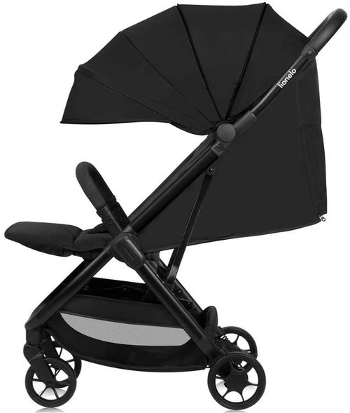 купить Детская коляска Lionelo Julie Air Black Onyx в Кишинёве 