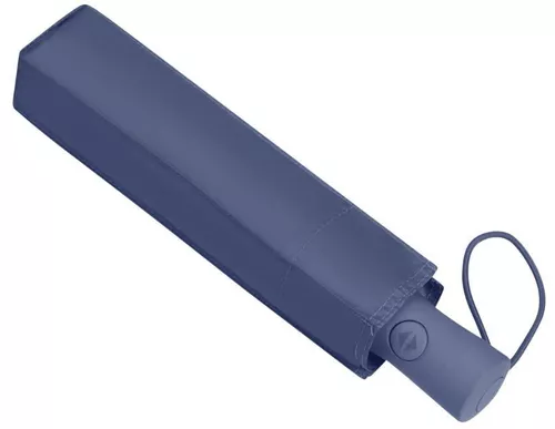 купить Зонт Samsonite Rain Pro (56159/1831) в Кишинёве 