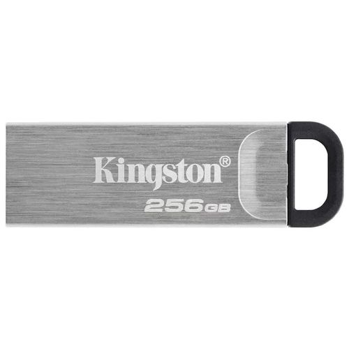 купить Флеш память USB Kingston DTKN/256GB в Кишинёве 