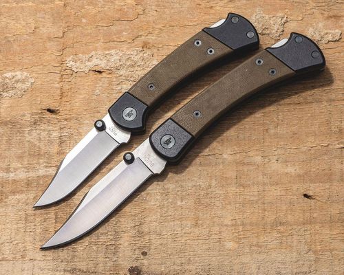 cumpără Cuțit turistic Buck 0110GRS5-B 13294 HUNTER SPORT PRO în Chișinău 