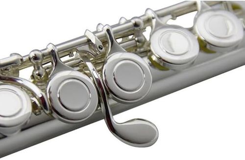 cumpără Instrument muzical de suflat Clifton Flaut A0495 în Chișinău 