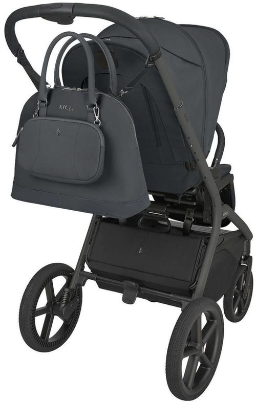 cumpără Сărucior pentru copii Kikka Boo 31001020171 Carucior 2in1 Goya Platinum Graphite în Chișinău 