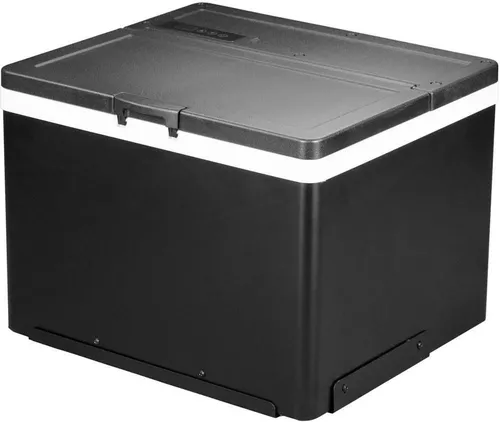купить Холодильник портативный Frigo 11-ARC35 35 L для фуры 12/24V в Кишинёве 