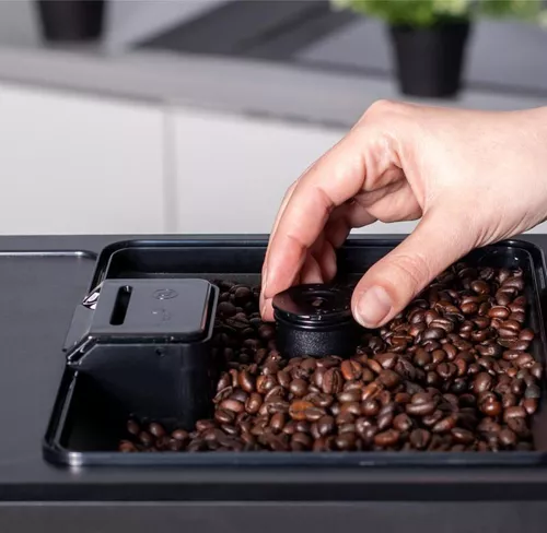 купить Кофемашина Zelmer ZCM8121 Maestro Barista в Кишинёве 