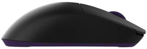 cumpără Mouse Dark Project Novus Pro Wireless , Blackberry în Chișinău 