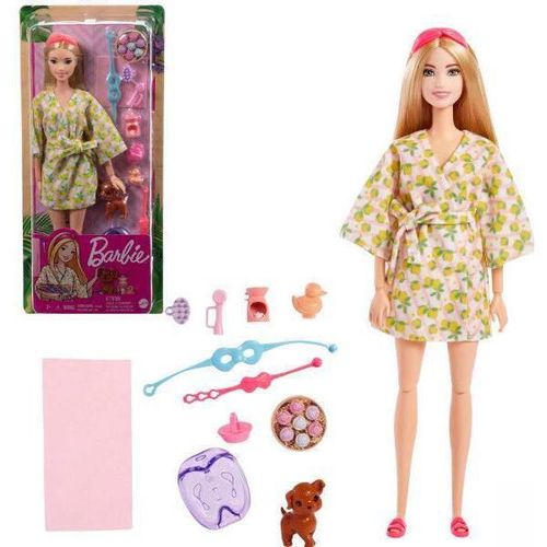 купить Кукла Barbie HKT90 Set Zi dedicată procedurilor SPA в Кишинёве 