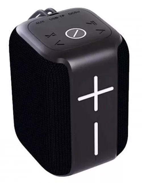 купить Колонка портативная Bluetooth Hopestar P16, 5W, Black в Кишинёве 