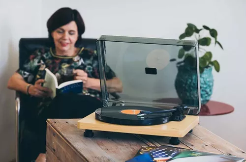 купить Проигрыватель виниловый Lenco L-30WD в Кишинёве 