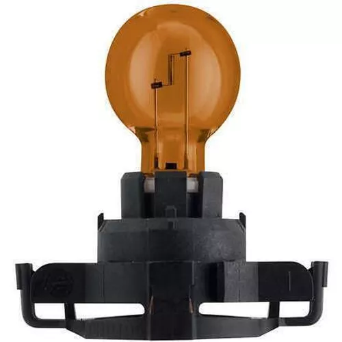 cumpără Lampă auto Philips PY24W 12V 24W PGU20/4 (12190NAC1) în Chișinău 