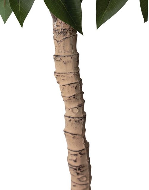 cumpără Plantă artificială Deco Arbore de Ficus 200 în Chișinău 