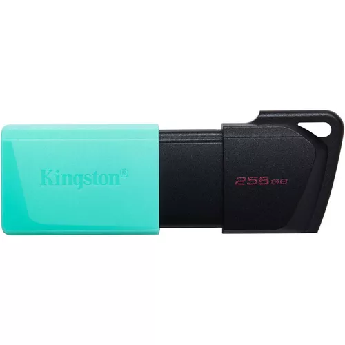 cumpără USB flash memorie Kingston DTXM/256GB în Chișinău 