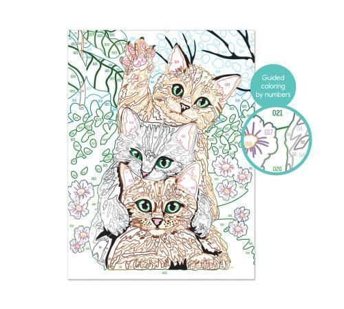 купить Картина по номерам As Kids 1038-41010 Motanas в Кишинёве 