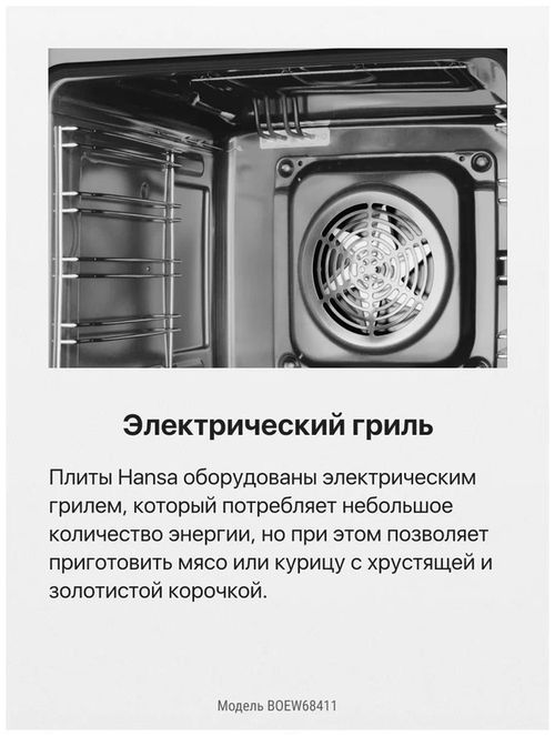 купить Встраиваемый духовой шкаф электрический Hansa BOEW68411 в Кишинёве 