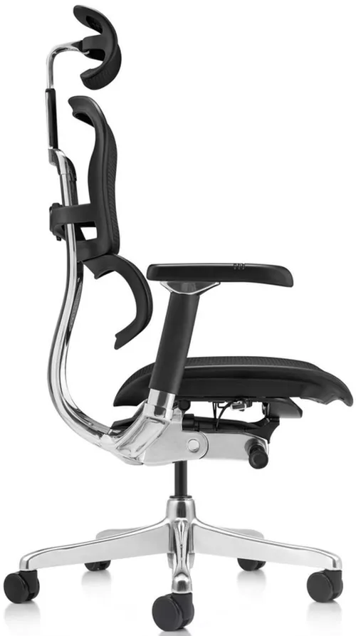 купить Офисное кресло ART Ergohuman Luxury 2 Black T-168-B1 EHL2-AB-HAM-5D-D в Кишинёве 