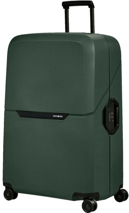 купить Чемодан Samsonite Magnum Eco (139848/1339) в Кишинёве 