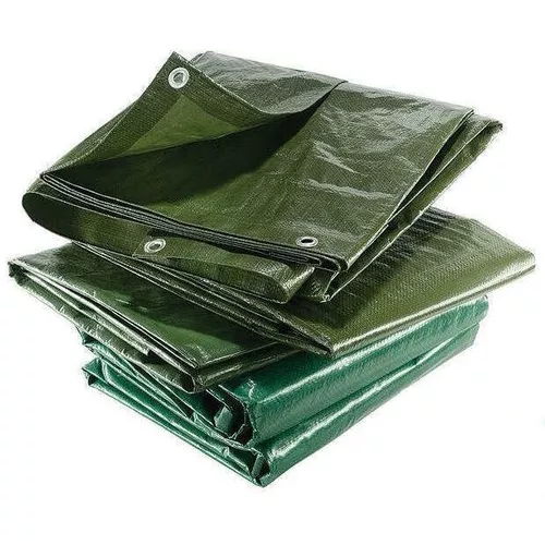 cumpără Prelată Greentech Prelată 150gr 10x12 verde în Chișinău 