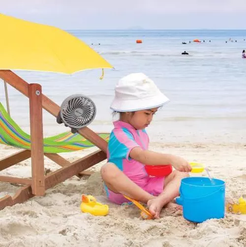 купить Вентилятор настольный Dreambaby G2332 в Кишинёве 