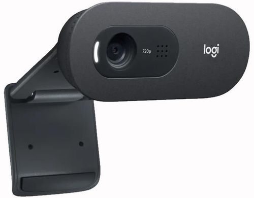 купить Веб-камера Logitech C505 HD в Кишинёве 