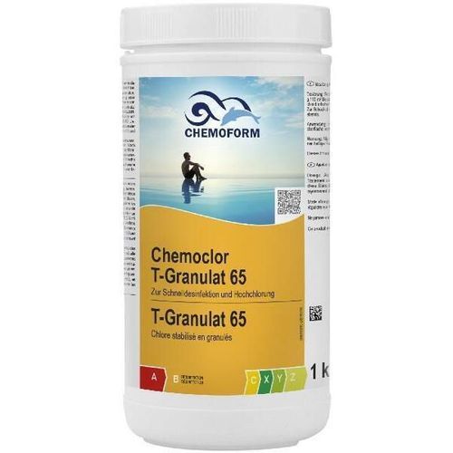 купить Аксессуар для бассейна Intex 050116 Clor granular T-Granulat 65 Chemoform 1 kg в Кишинёве 