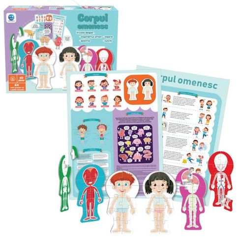 купить Головоломка Noriel NOR5434 Puzzle Corpul omenesc, 60 elem. (ro) в Кишинёве 