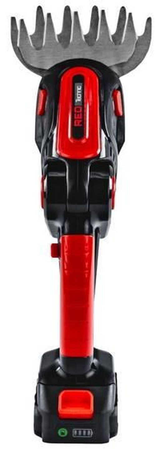 купить Ножницы садовые Red Technic RTANTK0171 Foarfeca de gradina baterie 2in1 21V/2x2AH в Кишинёве 