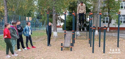 купить Детская площадка PlayPark Workout KIDS C-102 в Кишинёве 