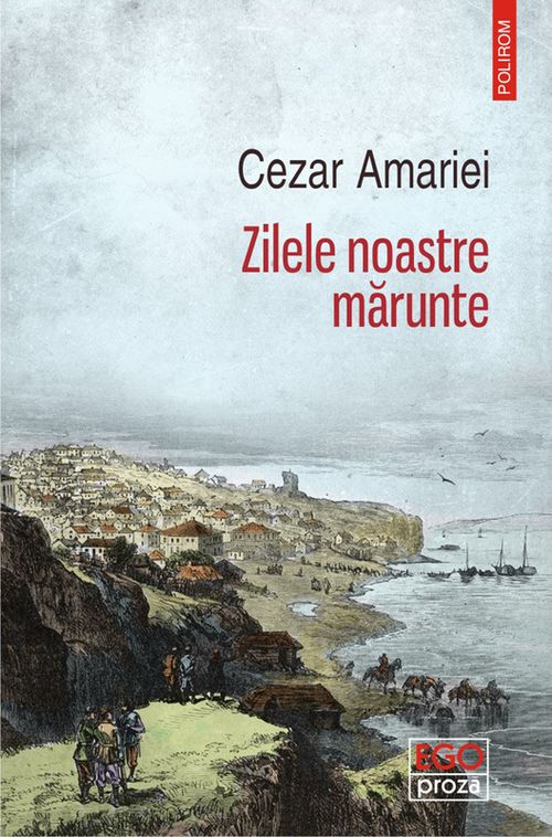 купить Zilele noastre mărunte в Кишинёве 