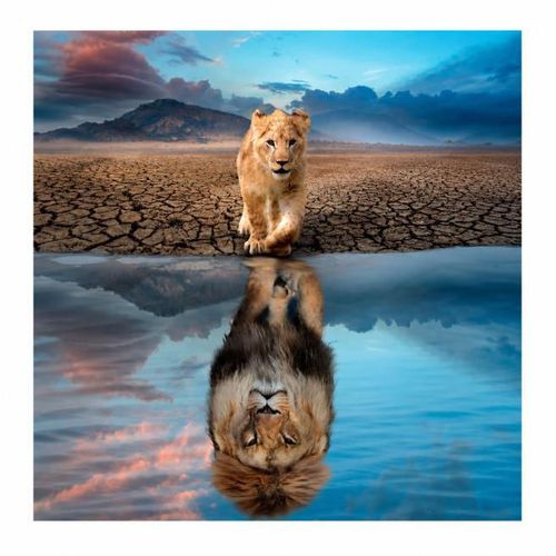 cumpără Puzzle Clementoni Puzzle 300 Super Noli Self Reflection (21719) în Chișinău 