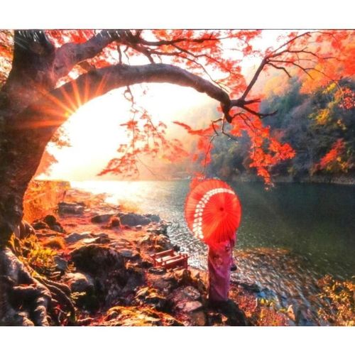купить Игрушка Educa 18455 1000 Sunrise in Katsura river, Japan в Кишинёве 