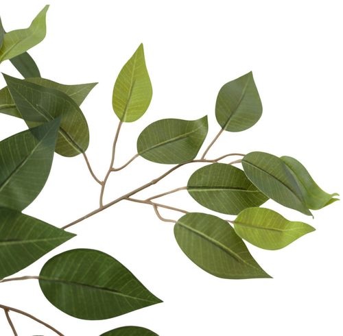 cumpără Plantă artificială Deco Arbore de Ficus 200 în Chișinău 