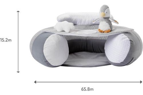купить Гнездо для новорожденных Nuby ID99614 Подушка для игр Penguin Inflatable Sit Up Baby Seat 6m+ в Кишинёве 