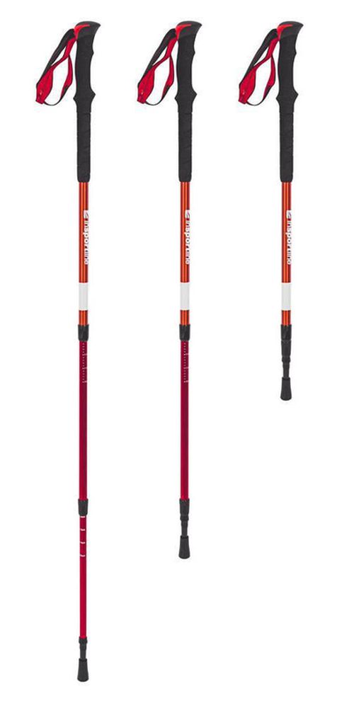 купить Треккинговые палки inSPORTline 2889 Baston treking 13151 (1 buc) 67-135 cm в Кишинёве 