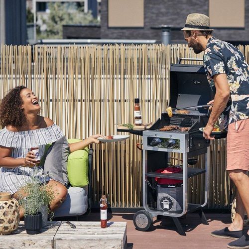 cumpără Grătar Enders Gratar pe gaz Brooklyn Next 2 (8645630) în Chișinău 
