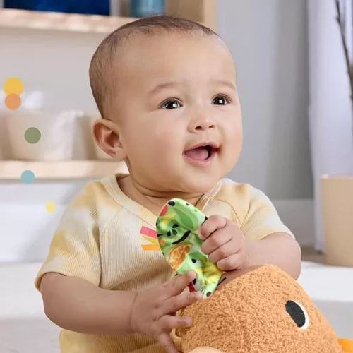 cumpără Jucărie de pluș Fisher Price HYR54 Jucărie din pluș Capybara în Chișinău 