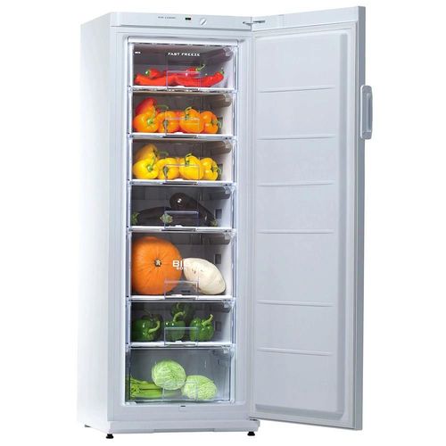 купить Морозильник Snaige F 27SM-T1000E в Кишинёве 