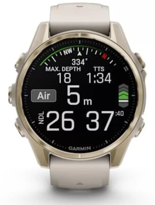 купить Смарт часы Garmin Fenix 8 – 43 mm, Sapphire, Soft Gold with Fog Gray (010-02903-11) в Кишинёве 