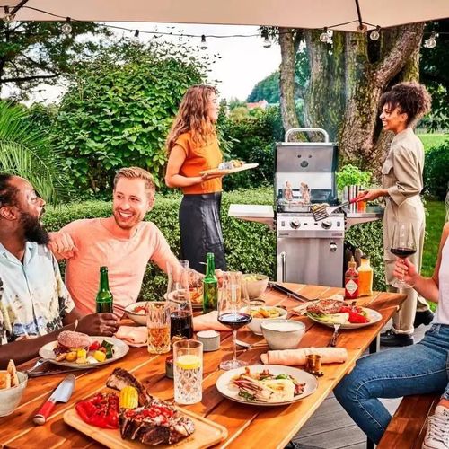 cumpără Grătar Char-Broil Gratar pe gaz Performance PRO 2 Burner, TRU-Infrared (140966) în Chișinău 