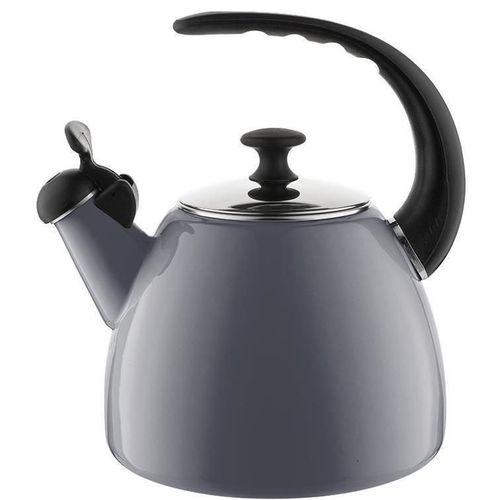 купить Чайник Emalia Pleszew 0C2221 Apereto, emailat, 2.2L, gri в Кишинёве 