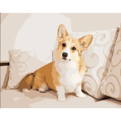 купить Картина по номерам Strateg R 8 /23 (DY274)(41959) Corgi pe canapea, 40x50 cm в Кишинёве 