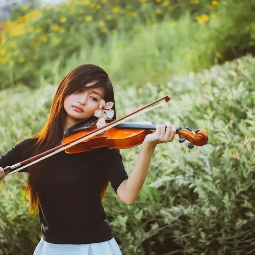 купить Скрипка Yamaha V 3 SK 44 в Кишинёве 