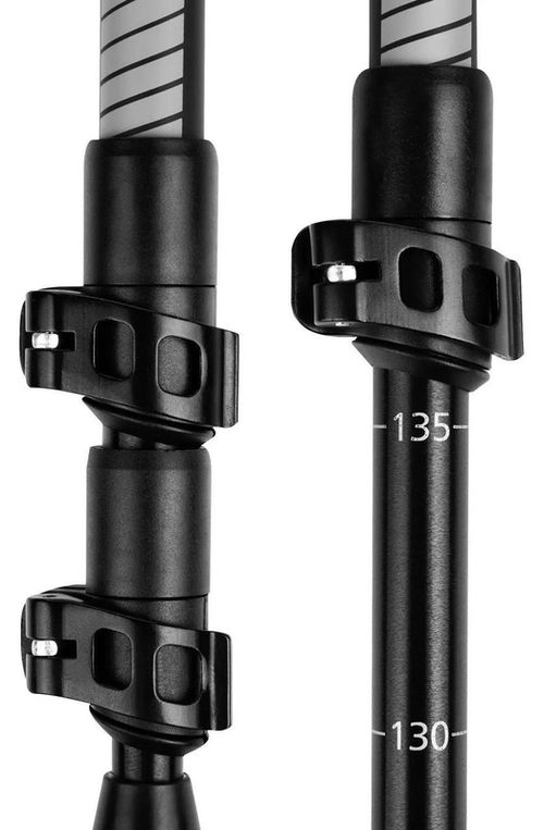 cumpără Bețe pentru trekking Spokey 929460 Zion Black în Chișinău 