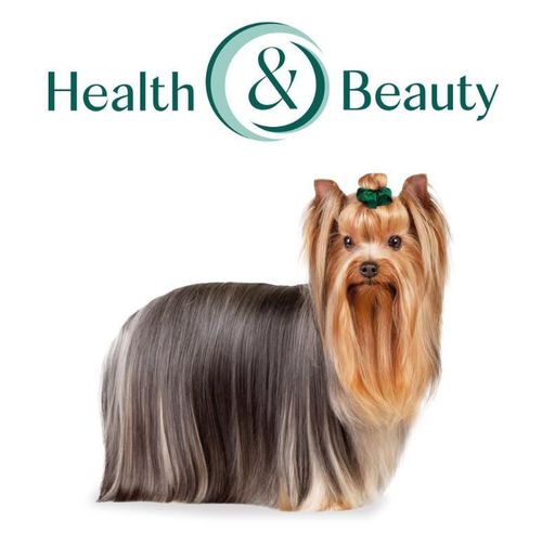 cumpără Hrană pentru animale de companie Optimeal 24231055 Pachet caini mini somon 1.5 kg în Chișinău 